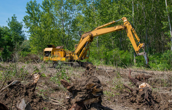 forestry equipment clearing trees forestry equipment clearing trees