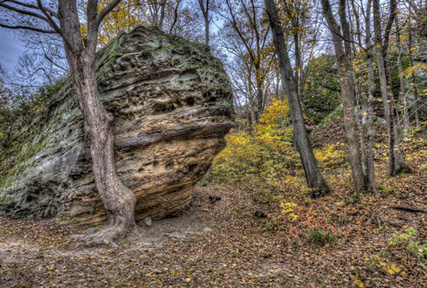 Illinois Forest with ship rock Illinois Forest with ship rock